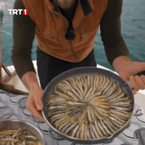 Forget Omega 3 GIF by TRT