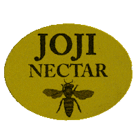 Pretty Boy Honey Sticker by Joji