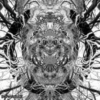 Loop Spinning GIF by Psyklon