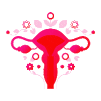 KotexAR mujer mujeres empoderamiento periodo Sticker