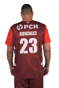 Bundesliga Handball Sticker by 1. VFL Potsdam