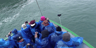 uniondocs nelliekluz GIF