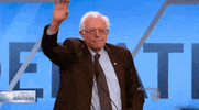 Bernie Sanders Hello GIF by Univision Noticias