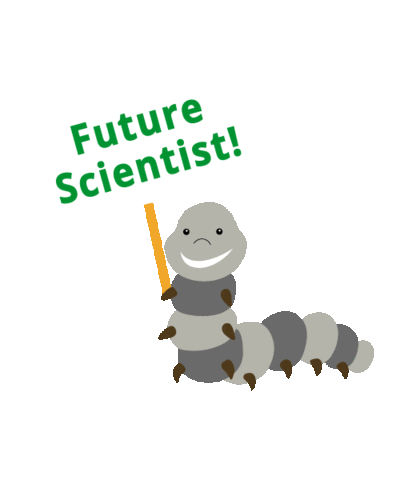 Caterpillar Sticker by Insect Lore