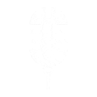 Muzic Sticker by MuzicSwipe