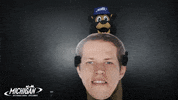 MISpeedway nascar brooks team penske mis GIF