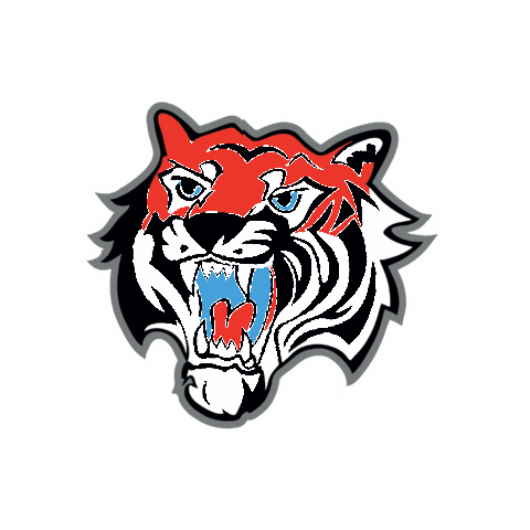 Football Basketball Sticker by ACSL - Austrian College Sports League