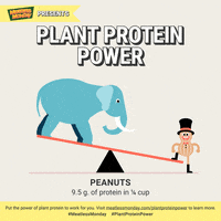 vegan peanuts GIF by Meatless Monday