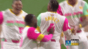 Major League Baseball Win GIF by MLB
