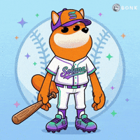 Baseball Cap Twinkling Stars GIF by BONK