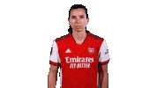 Tobin Heath Football Sticker by Arsenal