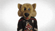Arizona Coyotes Sport GIF by NHL