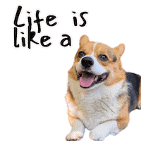 Life Chocolate Sticker