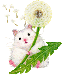 Spring Soar Sticker