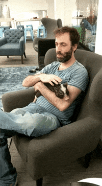 humans pigs GIF by YouNow