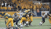 north dakota state bison GIF by NDSU Athletics