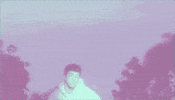 Mariposa GIF by NOW That's Music