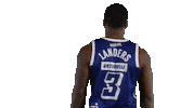 Sport Basketball Sticker by Basket_fi