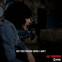 do you know who i am lena GIF by Ray Donovan