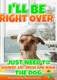 Treatos Chimken Yap Yip Boof Woof GIF by PetJuvenate