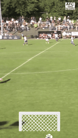 AFC_1893 giphygifmaker giphyattribution GIF