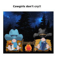 Wild West Cowboy GIF
