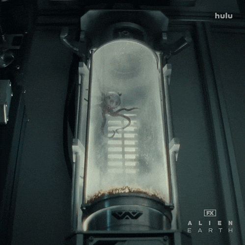 Fx Networks Eye GIF by Alien: Earth