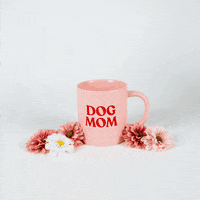 Dog Food Dogs GIF by GrandmaLucys