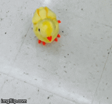 thrills cheep GIF