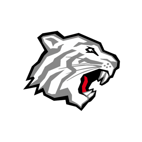 Nuernberg_Ice_Tigers giphygifmaker icetigers ice tigers nürnberg ice tigers Sticker