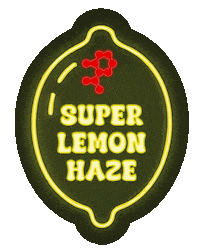 Neon Lemon Sticker by lolo