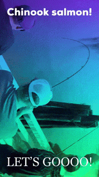 Seattle Washington GIF