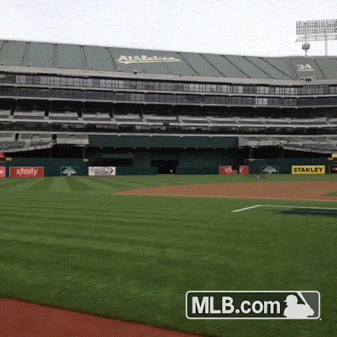 oak GIF by MLB