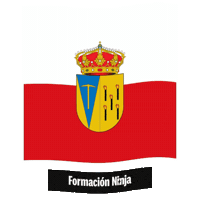Castilla Y Leon Flag Sticker by Formación Ninja