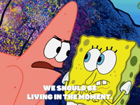 season 6 GIF by SpongeBob SquarePants