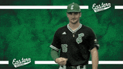 Emueagles Emubaseball GIF by EMU Athletics