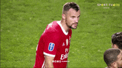 Sl Benfica Slbgifs GIF by Sport Lisboa e Benfica