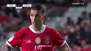 Sl Benfica Nod GIF by Sport Lisboa e Benfica