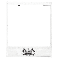 the_ranch horse cowboy camp polaroid Sticker