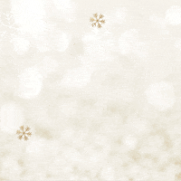 Merry Christmas GIF by Signature Kitchen Official