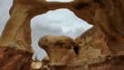 utah GIF