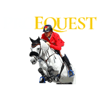 Hunter Dressage Sticker by ProEquest