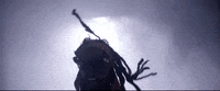 lil wayne sucker for pain GIF by Atlantic Records