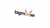 bigmoosecharity  GIF