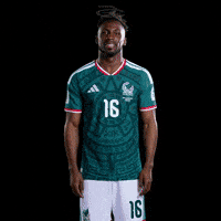 Fifa World Cup Mexico GIF by Respective