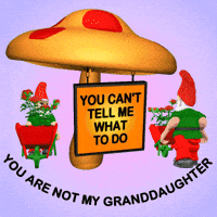 Gnomes Dont Tell Me What To Do GIF
