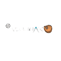 Baseball Training Sticker by VertiMax