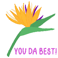 Bird Of Paradise Flower Sticker by Design Jord