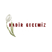 Gonulmihrabi Kadir Gecesi Mübarek Gece Dua Sticker