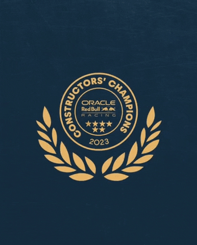 raulmv93 f1 redbull redbullracing GIF